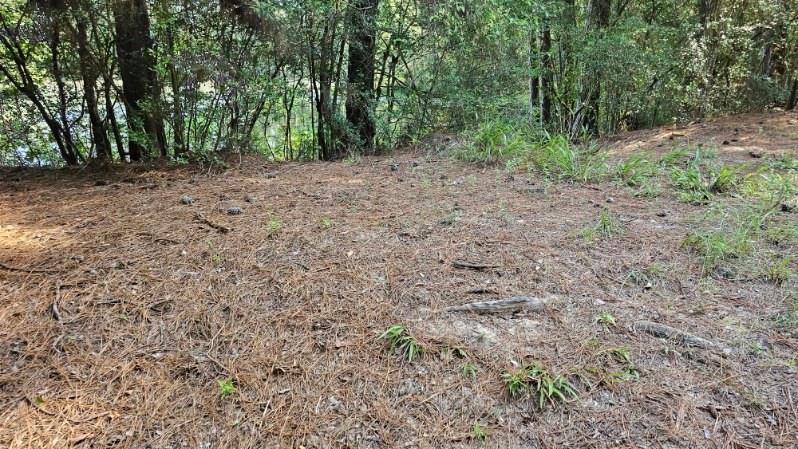 30569 Lake Rd Rd, Waller, Texas image 20