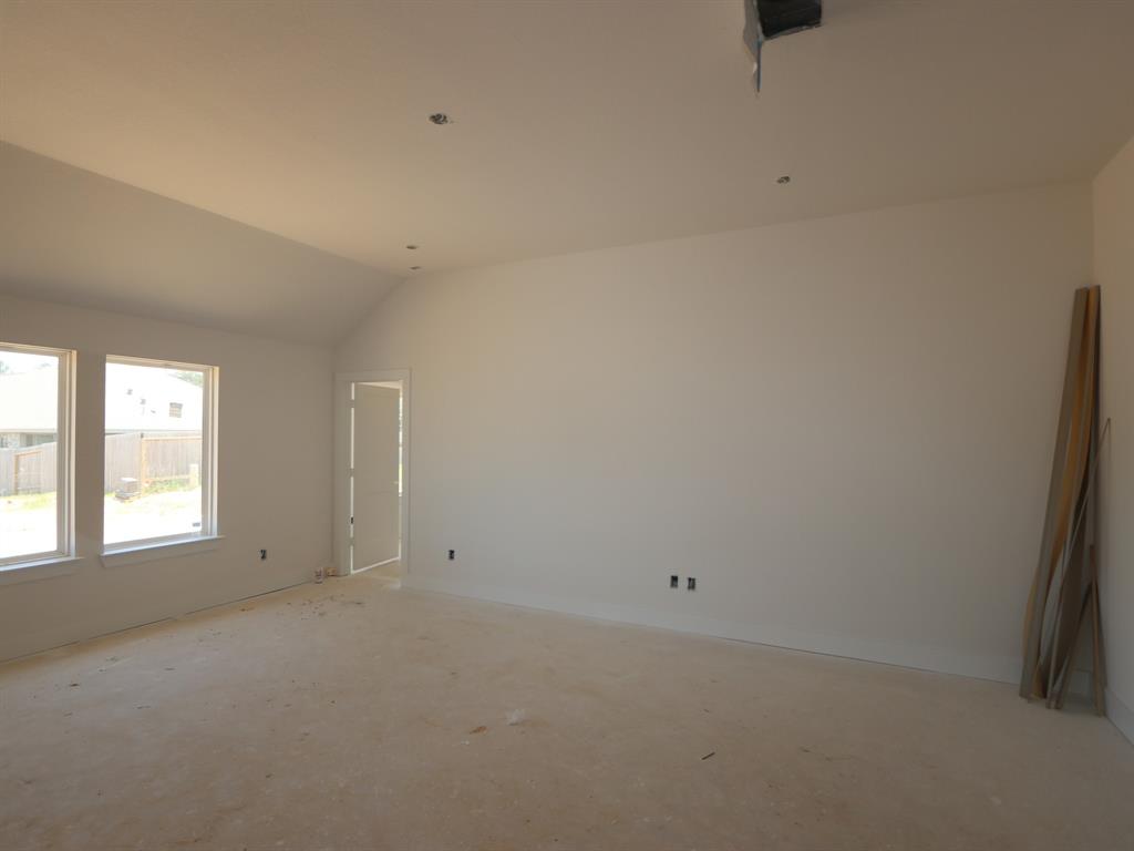 608 Spring Ashberry Court, Magnolia, Texas image 3