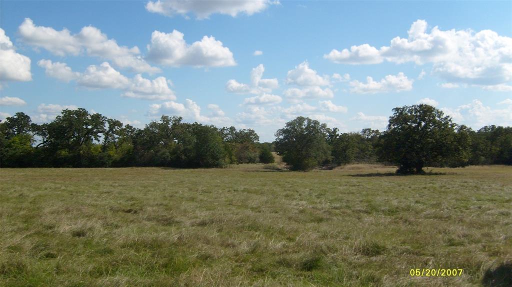 0000 County Road 103, Iola, Texas image 8