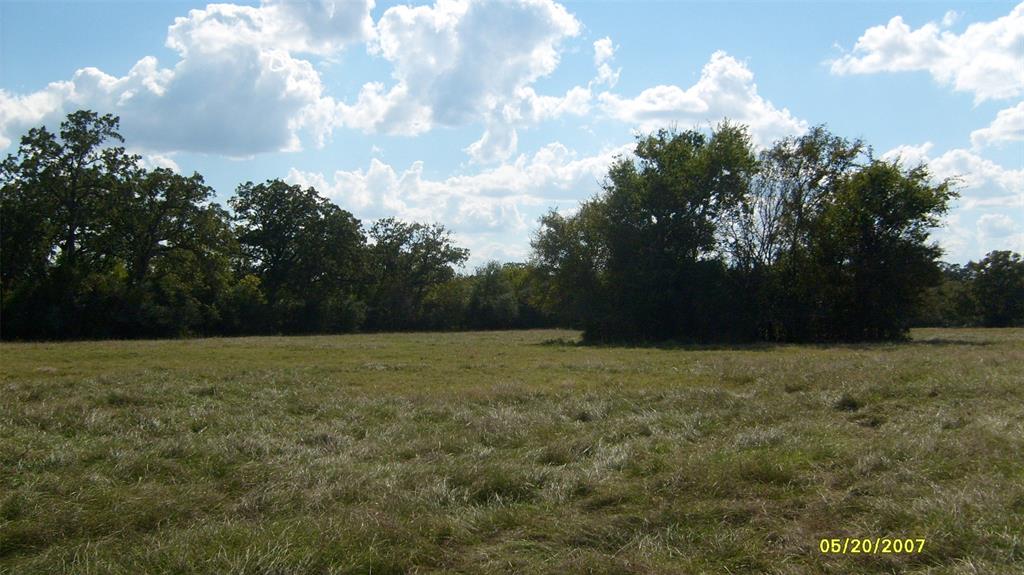 0000 County Road 103, Iola, Texas image 10