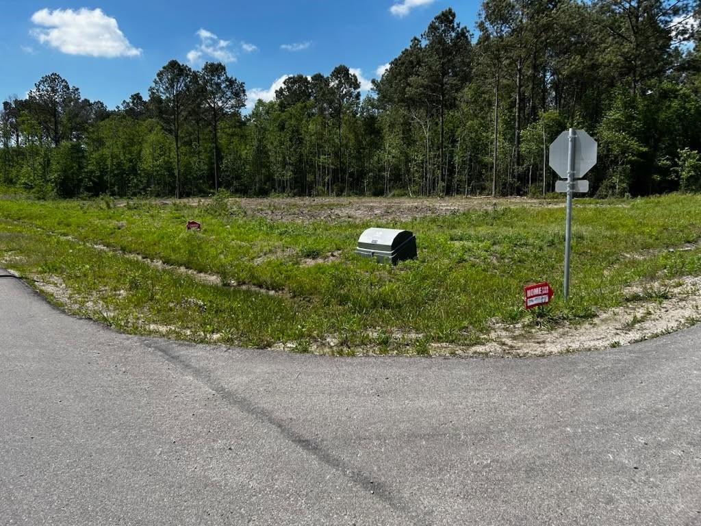 3141 Road  66125, Dayton, Texas image 1