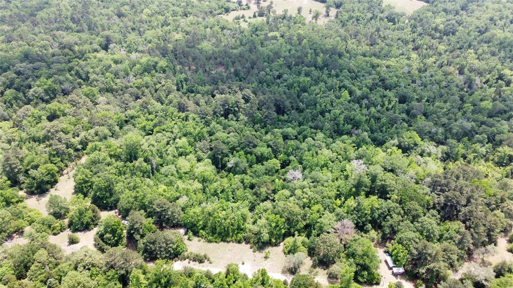 Pr 2210, Buffalo, Texas image 13