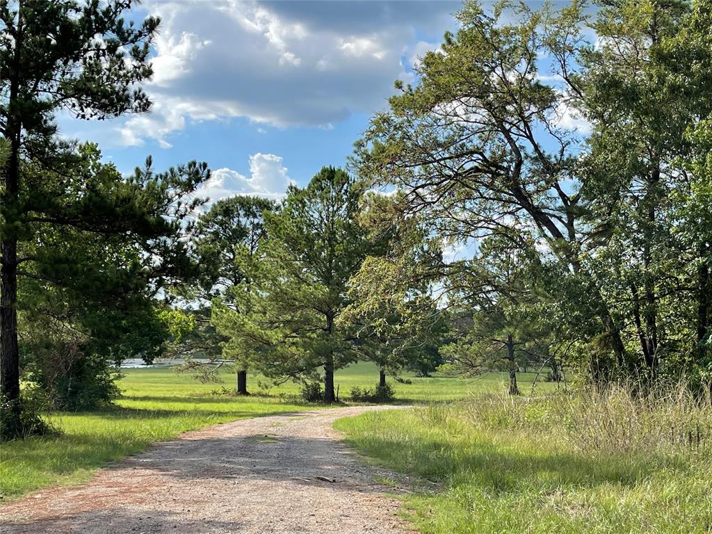 10545 Link Tree Lane, Willis, Texas image 14