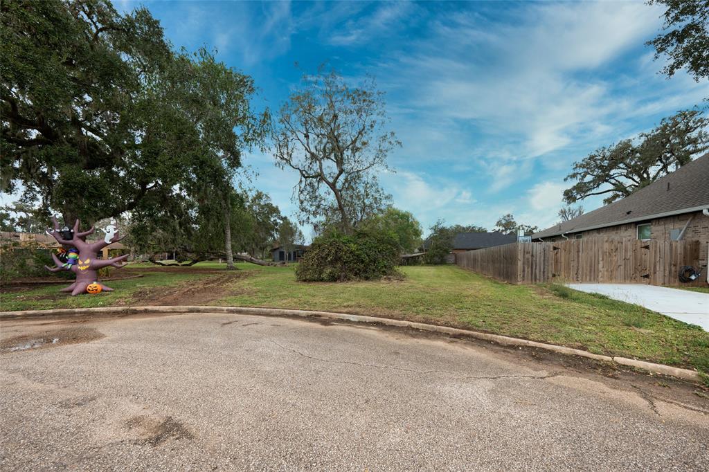 250 Montclaire Drive, West Columbia, Texas image 6