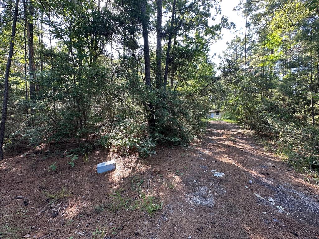 1883 Winding Creek Drive, Trinity, Texas image 19