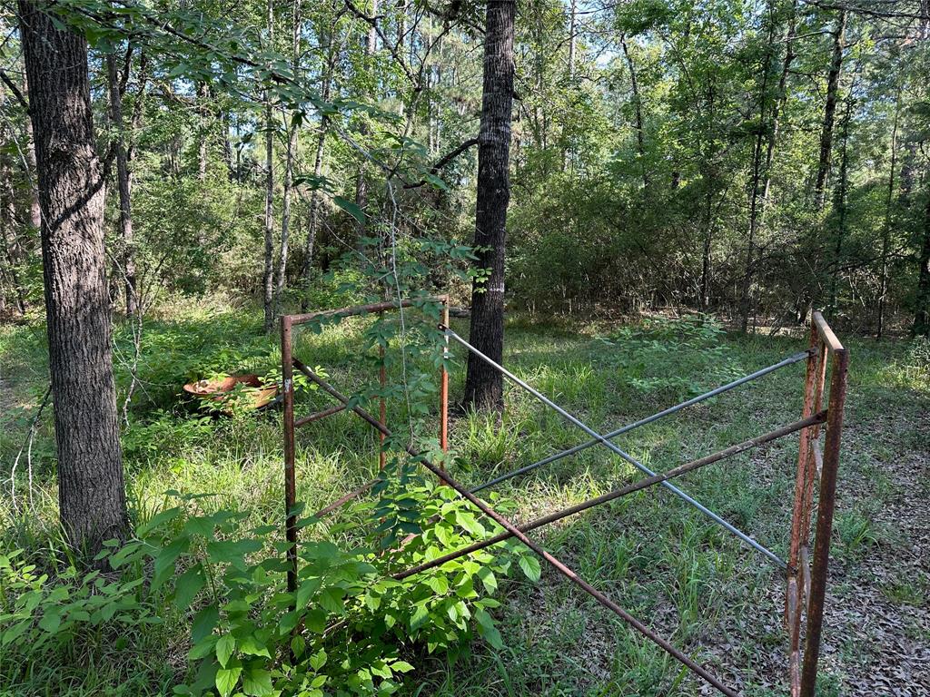 1883 Winding Creek Drive, Trinity, Texas image 15