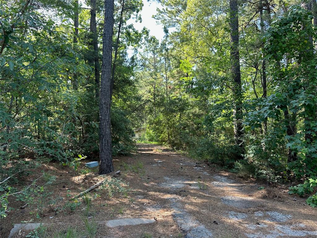 1883 Winding Creek Drive, Trinity, Texas image 9