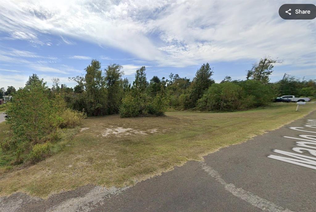 TBD Maple Cove, Onalaska, Texas image 2