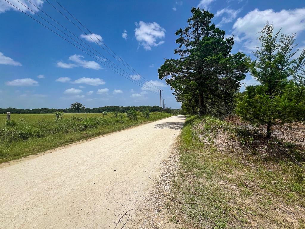 13553 County Road 446, Navasota, Texas image 27