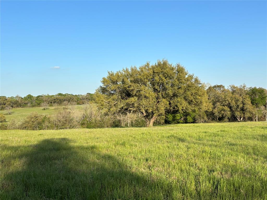4633 Orchard Oaks Lane, Brenham, Texas image 5