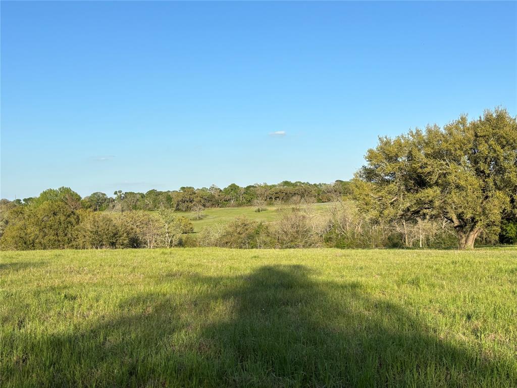 4633 Orchard Oaks Lane, Brenham, Texas image 3