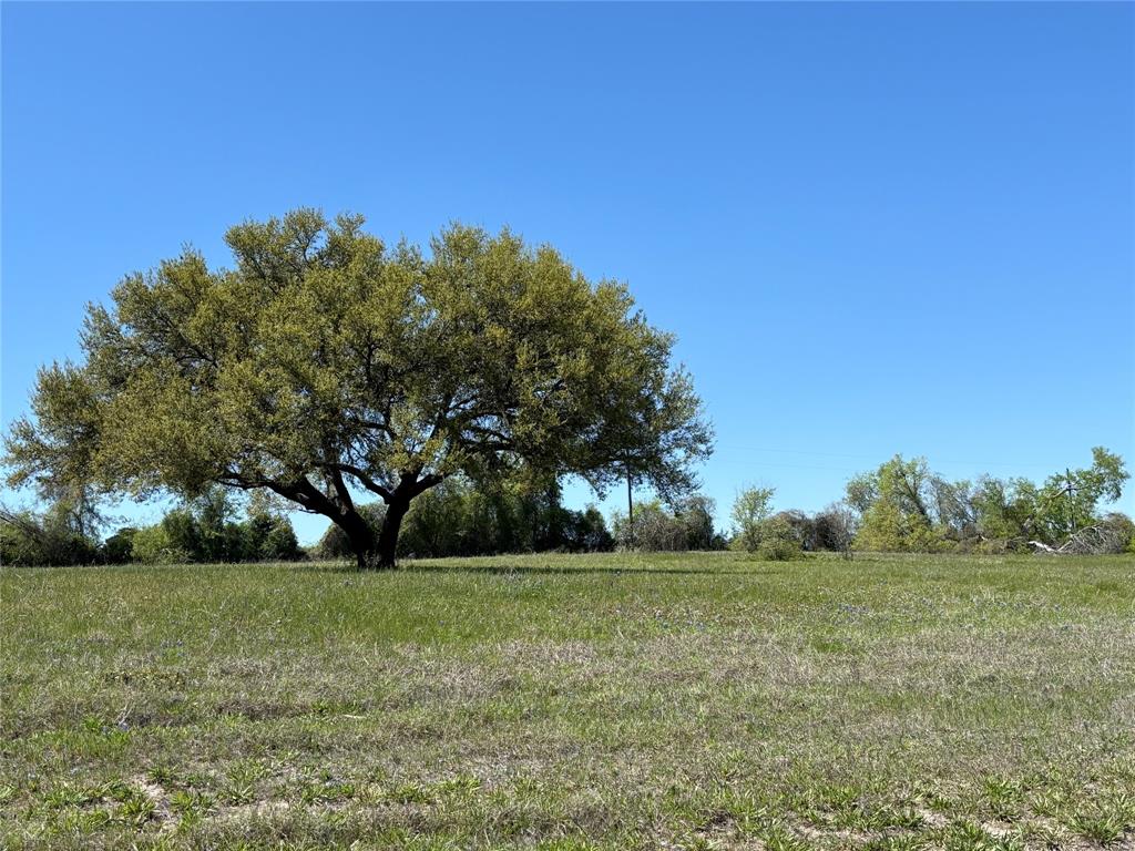 4633 Orchard Oaks Lane, Brenham, Texas image 6