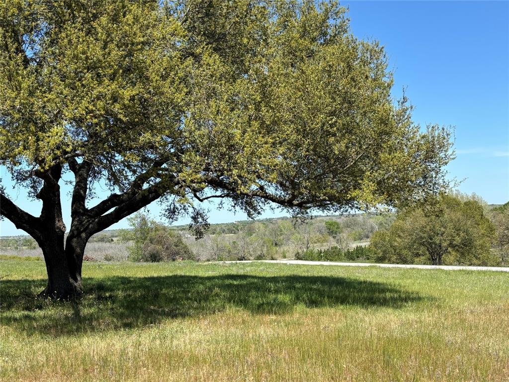 4633 Orchard Oaks Lane, Brenham, Texas image 4