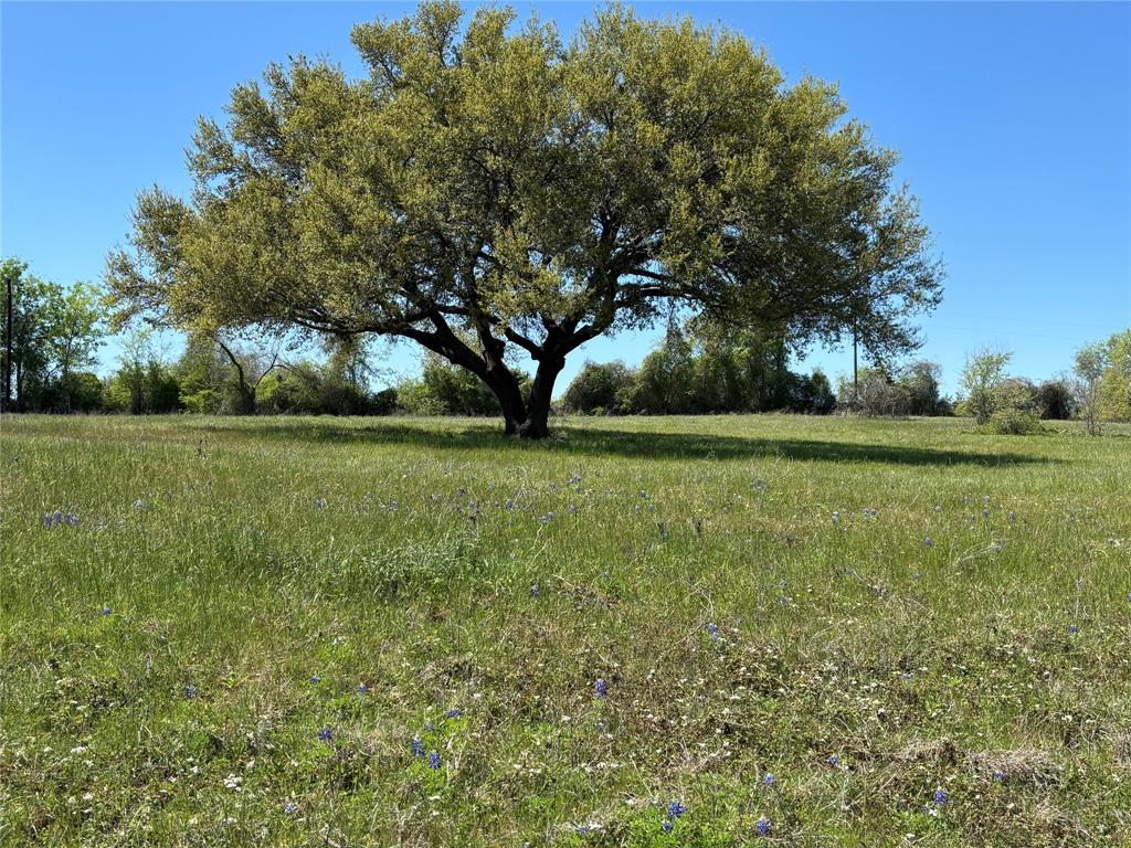 4633 Orchard Oaks Lane, Brenham, Texas image 1