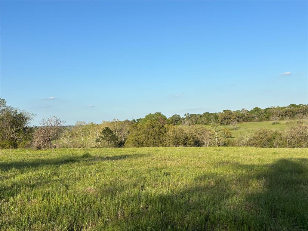 4633 Orchard Oaks Lane, Brenham, Texas image 2