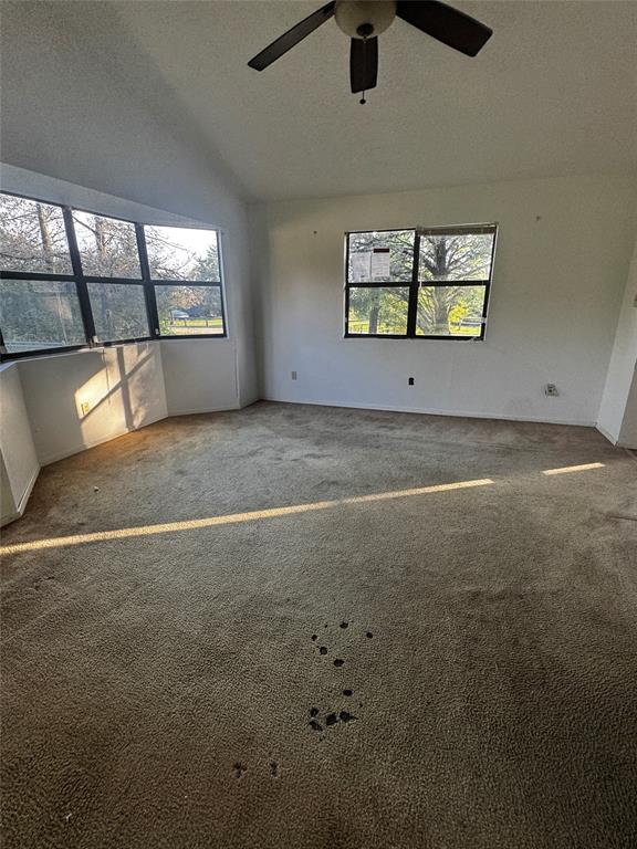 8801 Smith Lane, College Station, Texas image 2