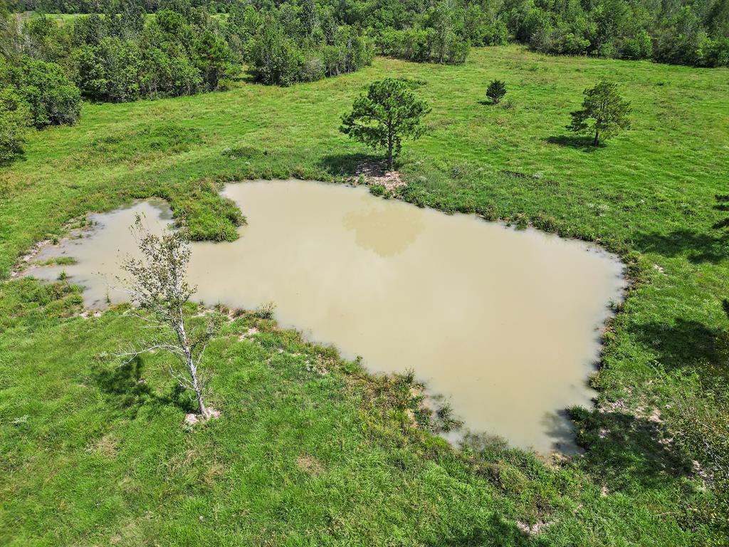 000 County Road 2010, Liberty, Texas image 9