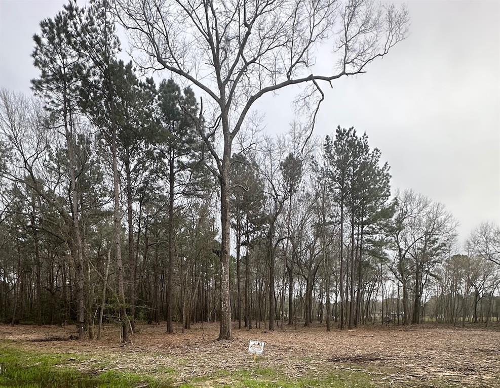 00 Cr 3015 Carters Loop Rd, Dayton, Texas image 6