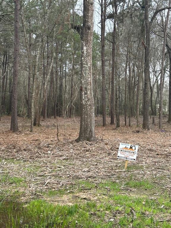 00 Cr 3015 Carters Loop Rd, Dayton, Texas image 7