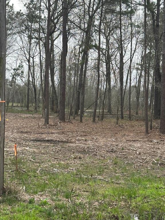 00 Cr 3015 Carters Loop Rd, Dayton, Texas image 2