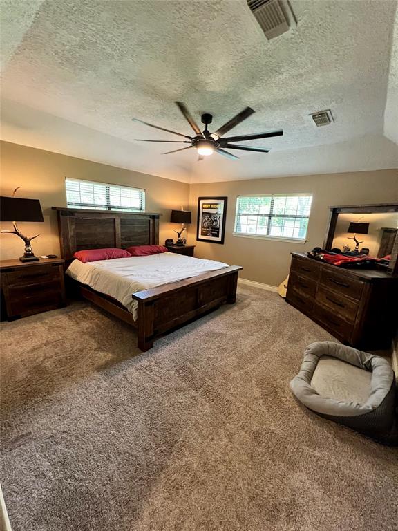 12214 Cherry Point Drive, Mont Belvieu, Texas image 20