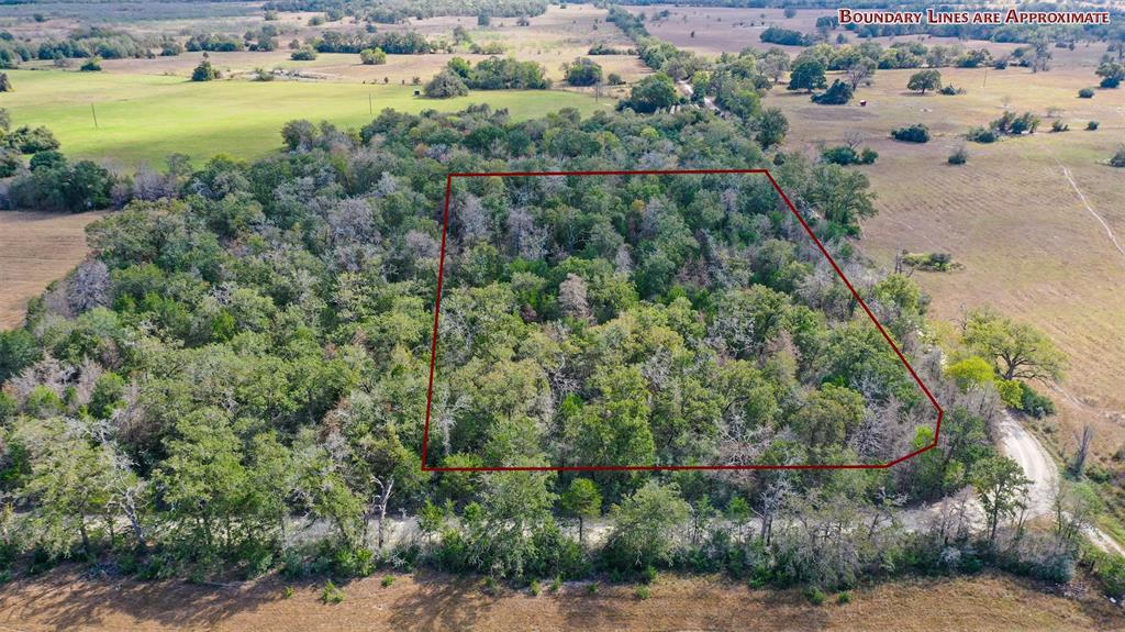 Lot 1 County Rd 229, Bedias, Texas image 3