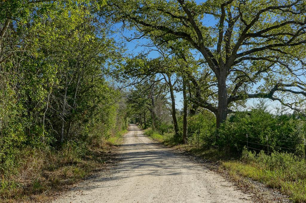 Lot 1 County Rd 229, Bedias, Texas image 6