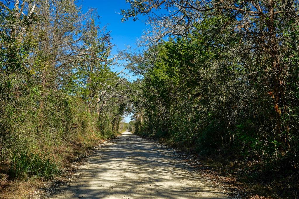 Lot 1 County Rd 229, Bedias, Texas image 7