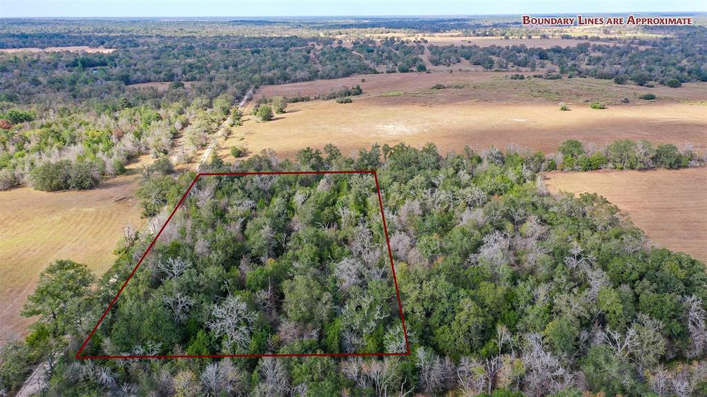 Lot 1 County Rd 229, Bedias, Texas image 1