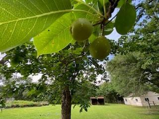 27604 Joseph Road, Hockley, Texas image 12