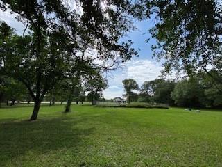 27604 Joseph Road, Hockley, Texas image 10