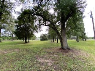 27604 Joseph Road, Hockley, Texas image 15