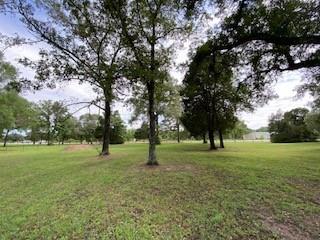 27604 Joseph Road, Hockley, Texas image 16