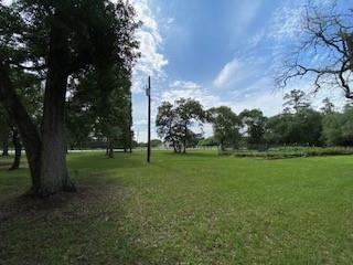 27604 Joseph Road, Hockley, Texas image 14