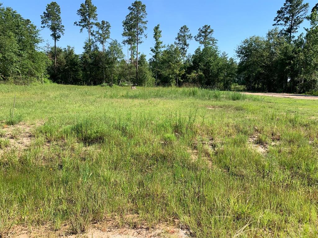 5850 Us Highway 190, Livingston, Texas image 3