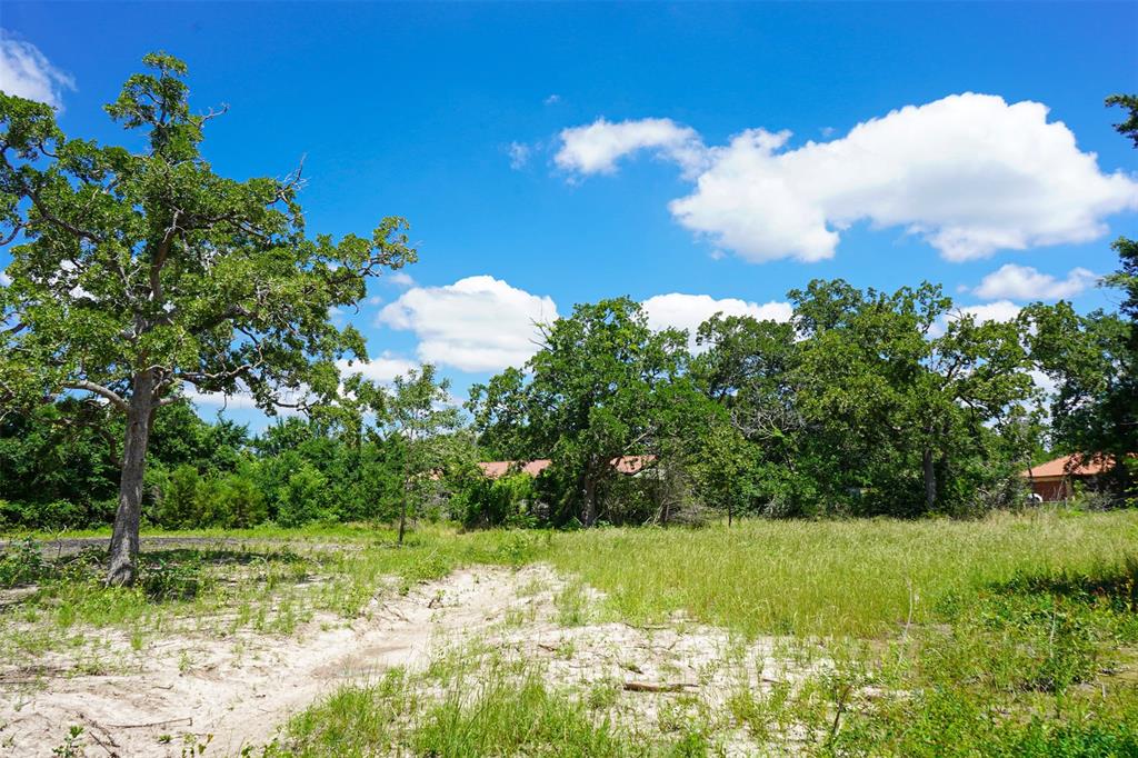 TBD Fm 3090, Anderson, Texas image 13