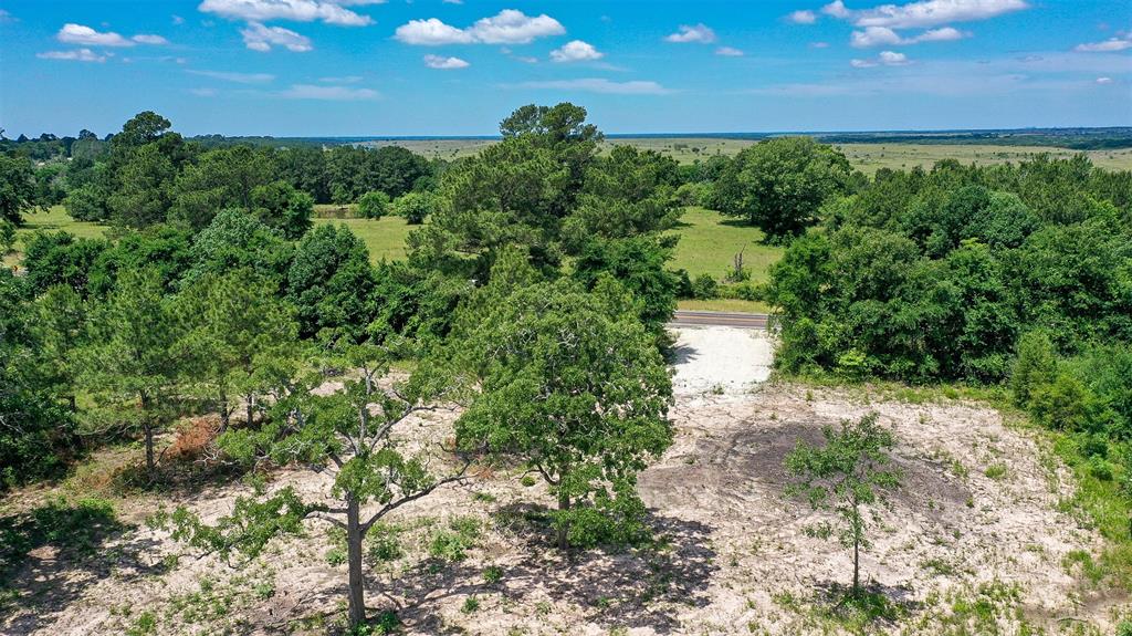 TBD Fm 3090, Anderson, Texas image 17