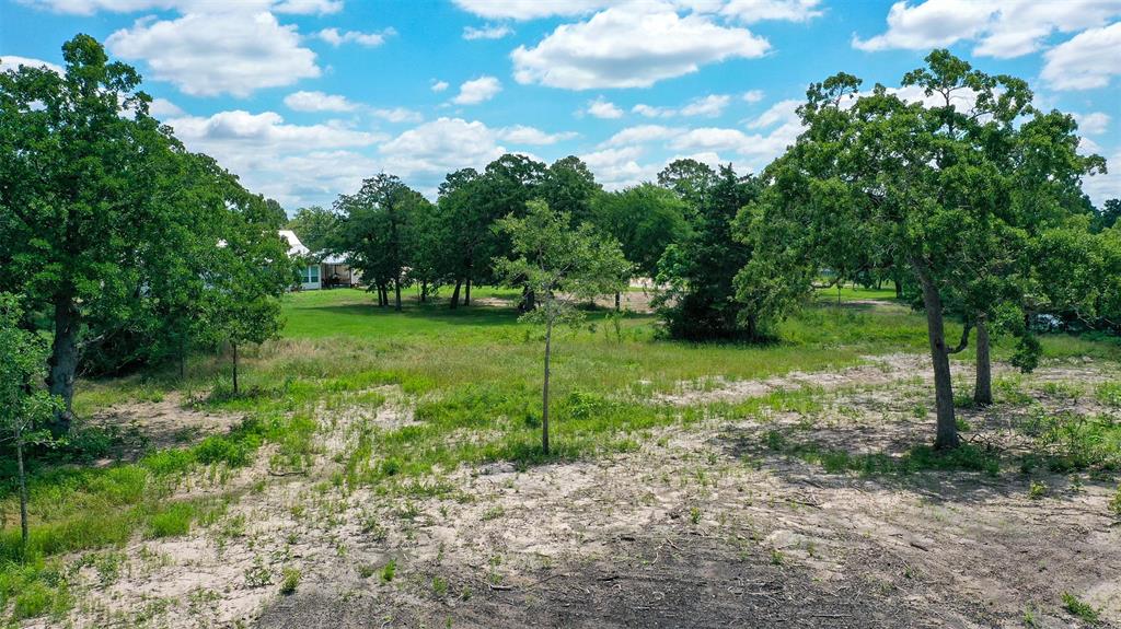 TBD Fm 3090, Anderson, Texas image 14