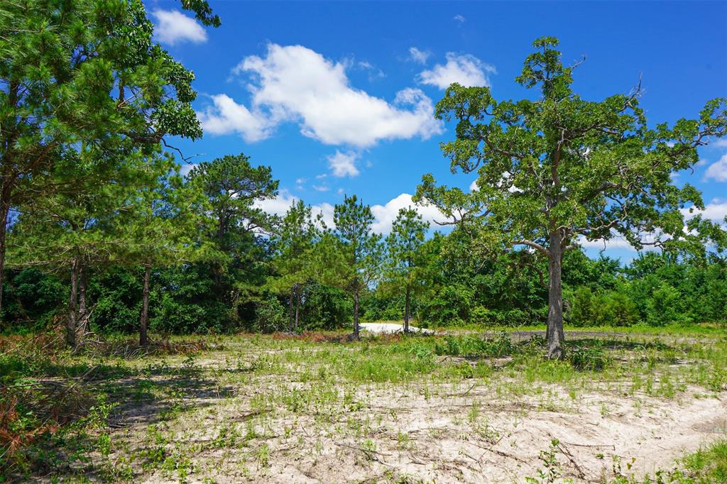 TBD Fm 3090, Anderson, Texas image 4