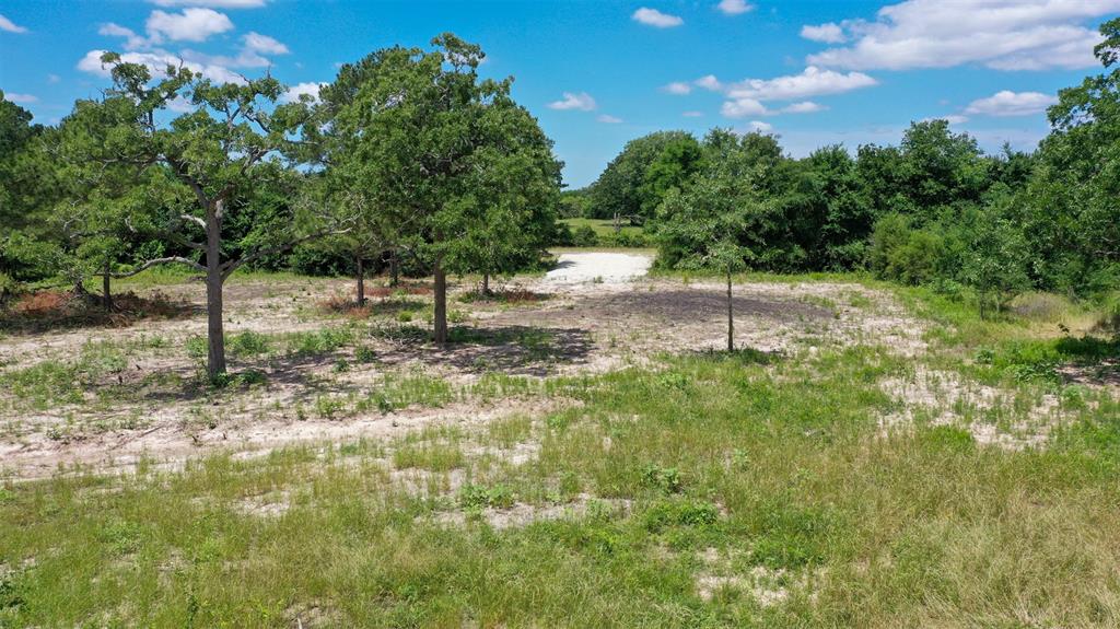 TBD Fm 3090, Anderson, Texas image 5