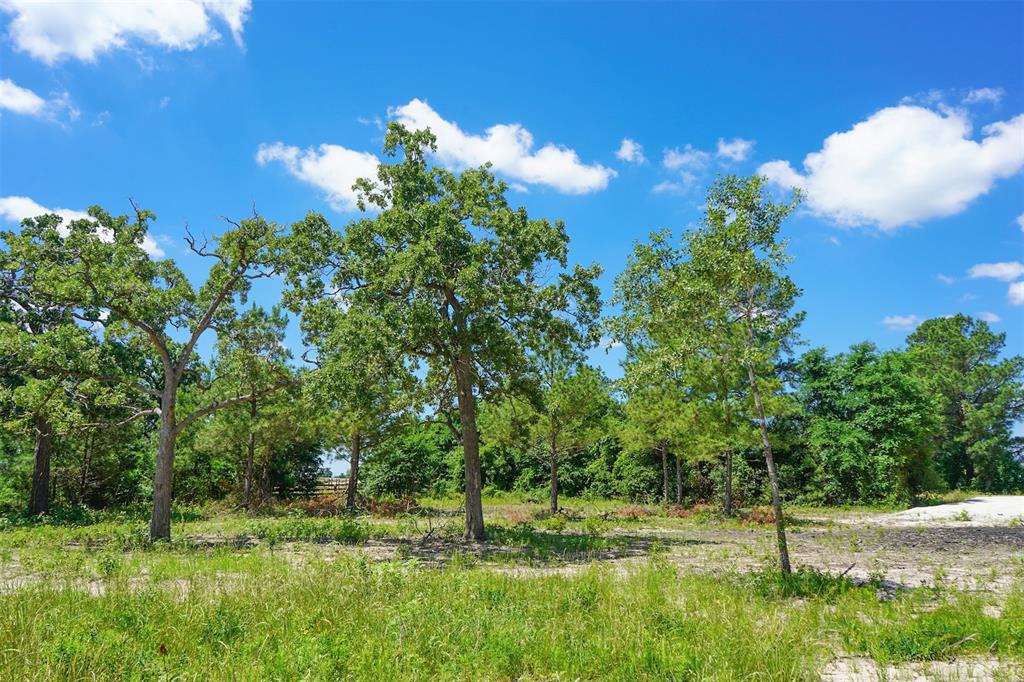 TBD Fm 3090, Anderson, Texas image 12