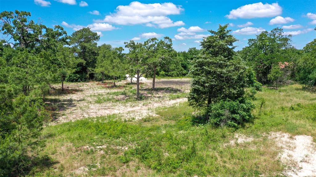 TBD Fm 3090, Anderson, Texas image 6