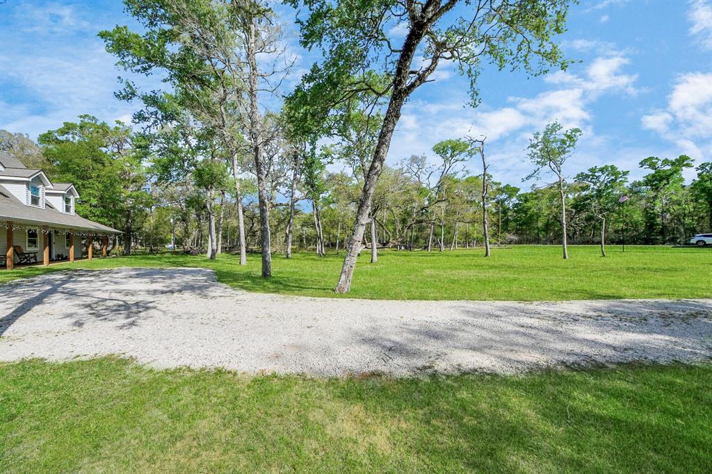 20202 Deer Run Road, Damon, Texas image 4