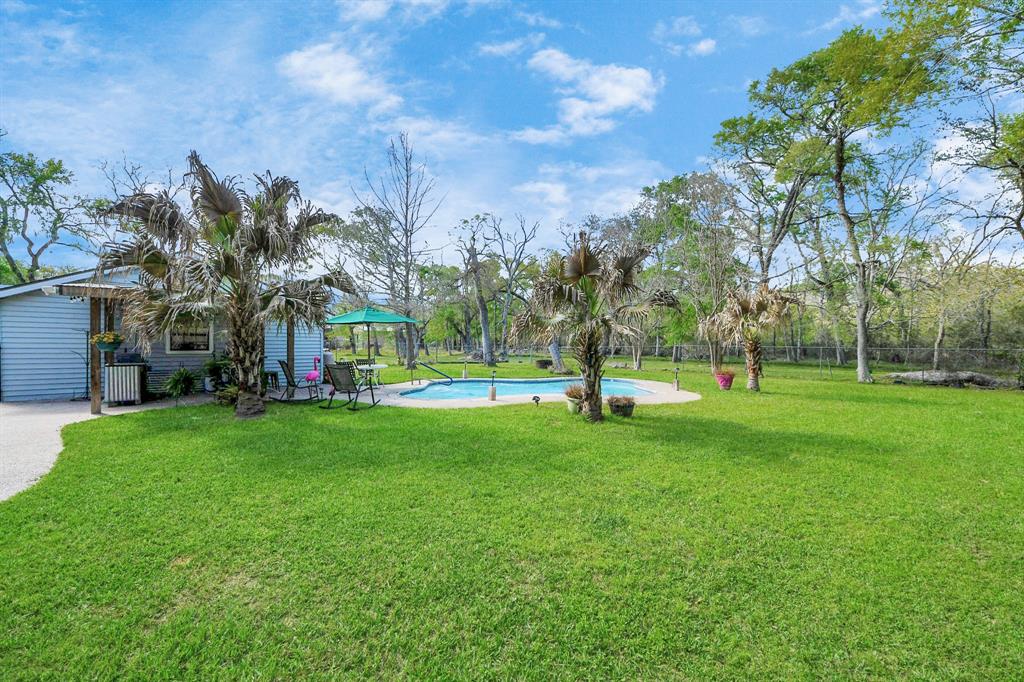 20202 Deer Run Road, Damon, Texas image 37