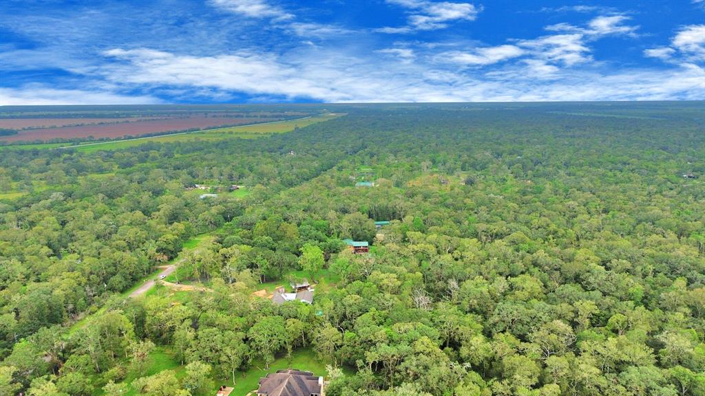 20202 Deer Run Road, Damon, Texas image 49