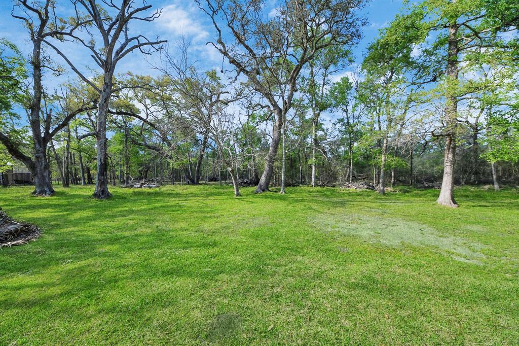 20202 Deer Run Road, Damon, Texas image 43