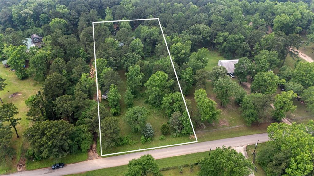 23889 Weeren Road, Montgomery, Texas image 1