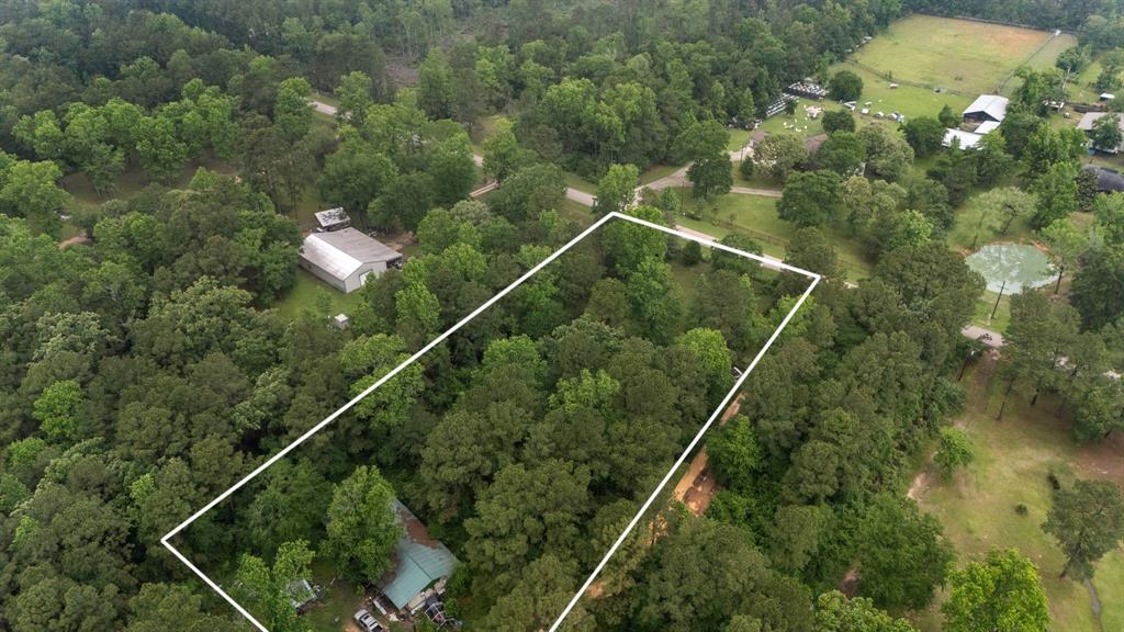 23889 Weeren Road, Montgomery, Texas image 5