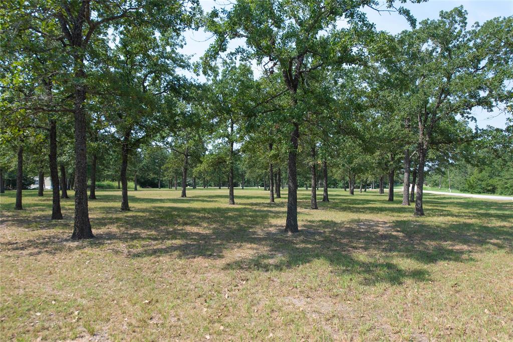 TBD 2 Acres - Overlook Drive, Caldwell, Texas image 4