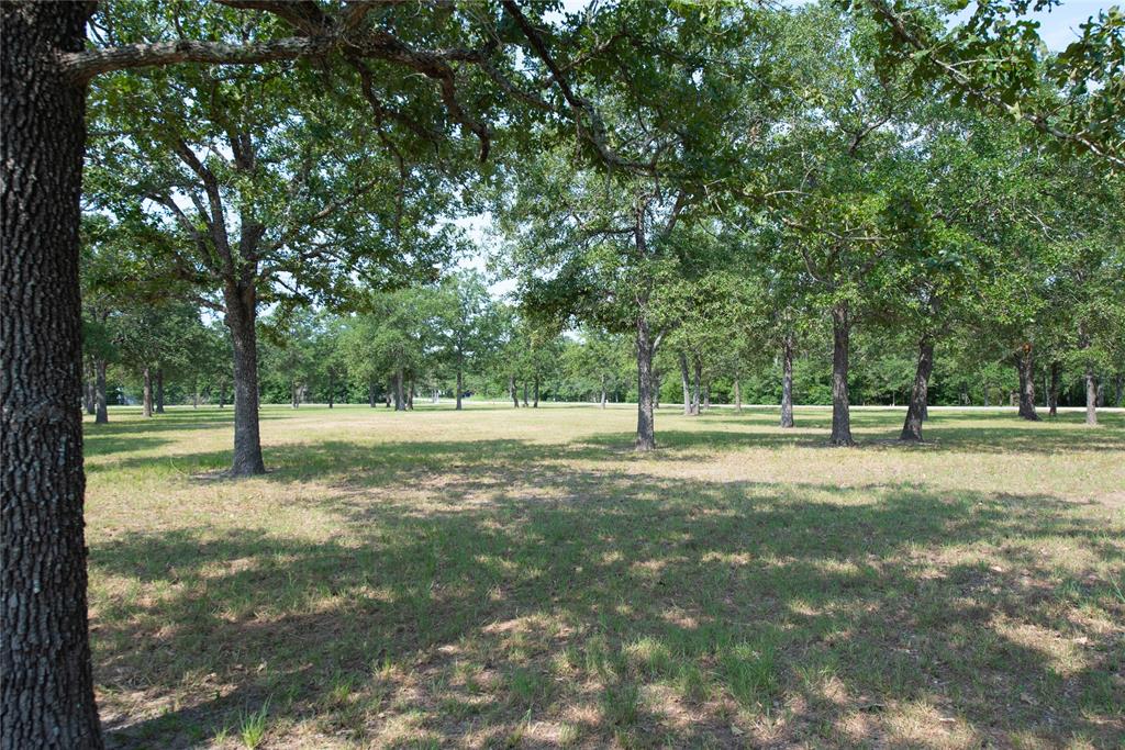 TBD 2 Acres - Overlook Drive, Caldwell, Texas image 6